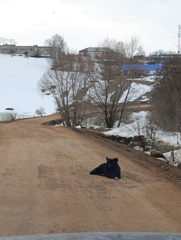 Spring scenes captured in Russian village of Foki