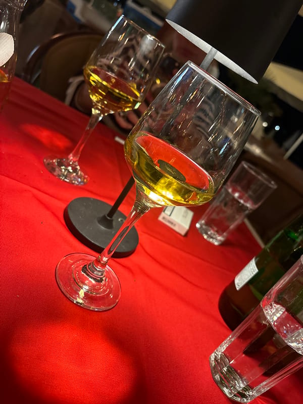 Evening dinner documented at Budva Montenegro restaurant May 2026