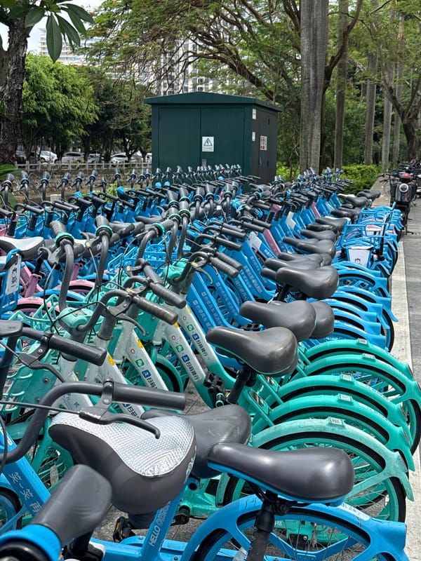 Shared bike fleets spotted lined up across Xiangzhou streets