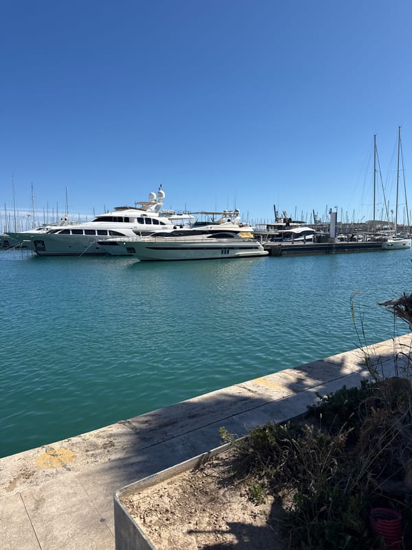 Afternoon marina and shop scenes documented in Alicante
