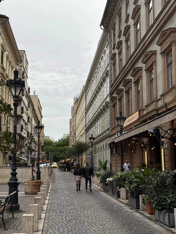 Everyday street life documented around Budapest's St. Stephen's Basilica