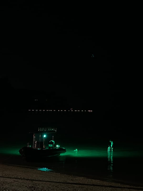 Illuminated fishing boat photographed docked in Wichit, Thailand