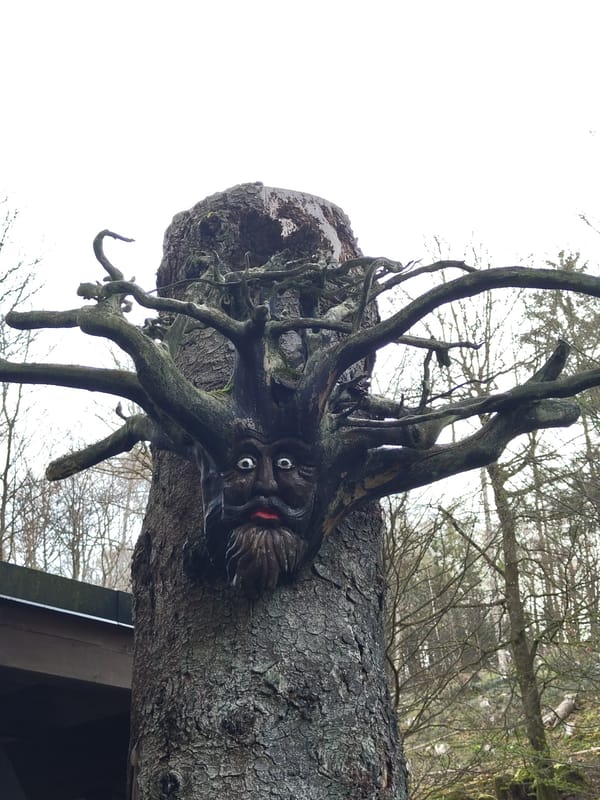 Morning walk captures watermill and woodland sculptures in Mettlach