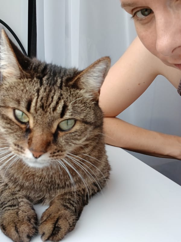 Lazy afternoon with a cat and close-up selfies in Yekaterinburg