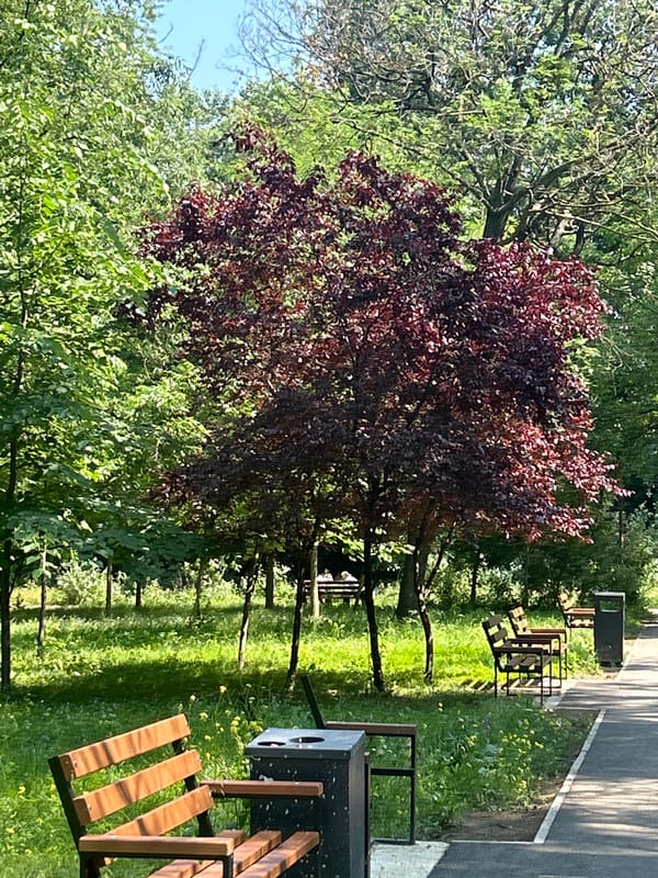 Sunny park walk documented in Varna, Bulgaria