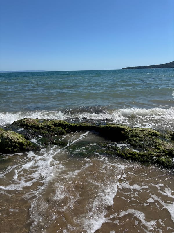 Rocky Black Sea shoreline on a clear summer morning in Burgas