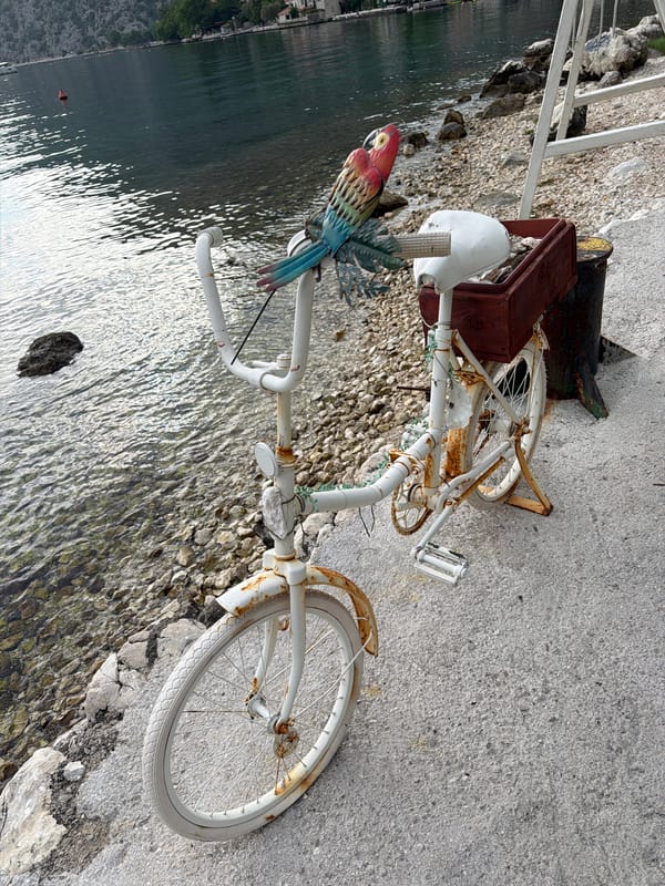 Seafood dining experience captured at Bay of Kotor shoreline