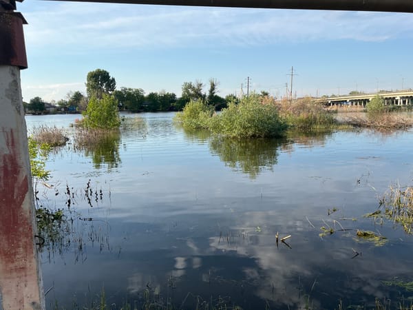 Rural life documented in flooded Russian village