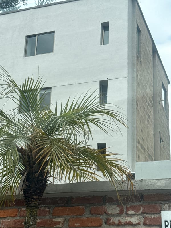 Palm tree partially obscures white building in Huixquilucan