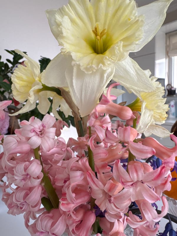 Spring flowers and morning coffee captured in Varna homes