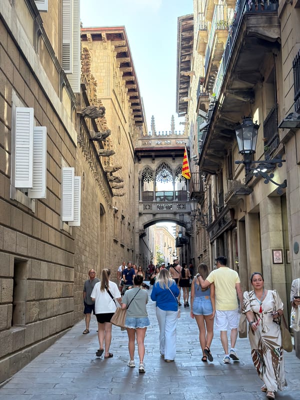 Barcelona's Gothic Quarter: cathedral details and street life