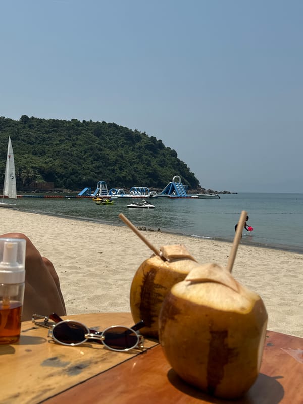 Jellyfish wash ashore at Đà Nẵng beach during morning hours
