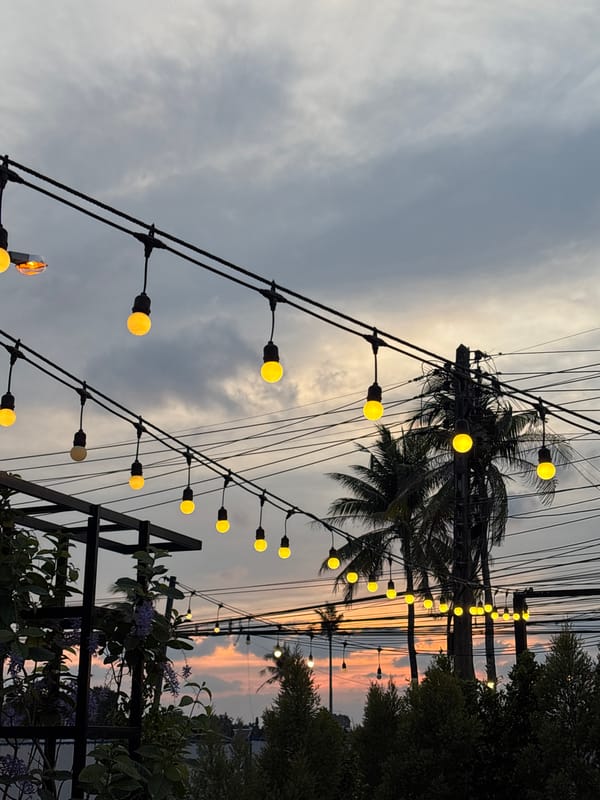 Sunset captured through palm trees in Choeng Thale, Thailand