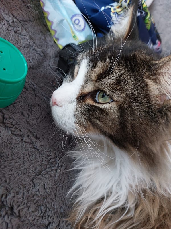 Quiet Sunday moments captured in Russian village