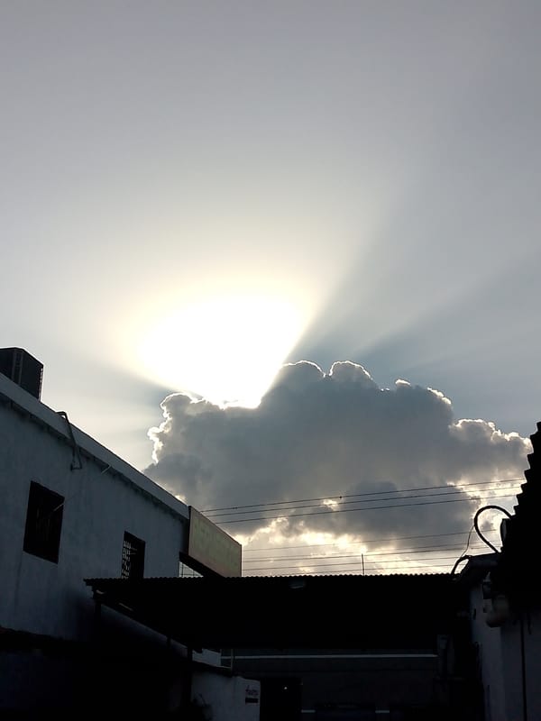 Daily life documented in Tinaquillo market and streets