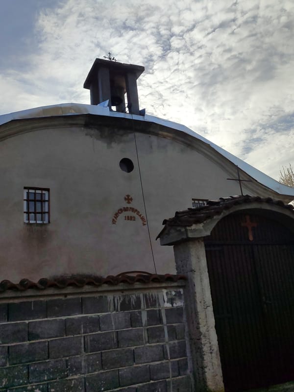 Morning scenes of white cat and rural buildings in Varshilo