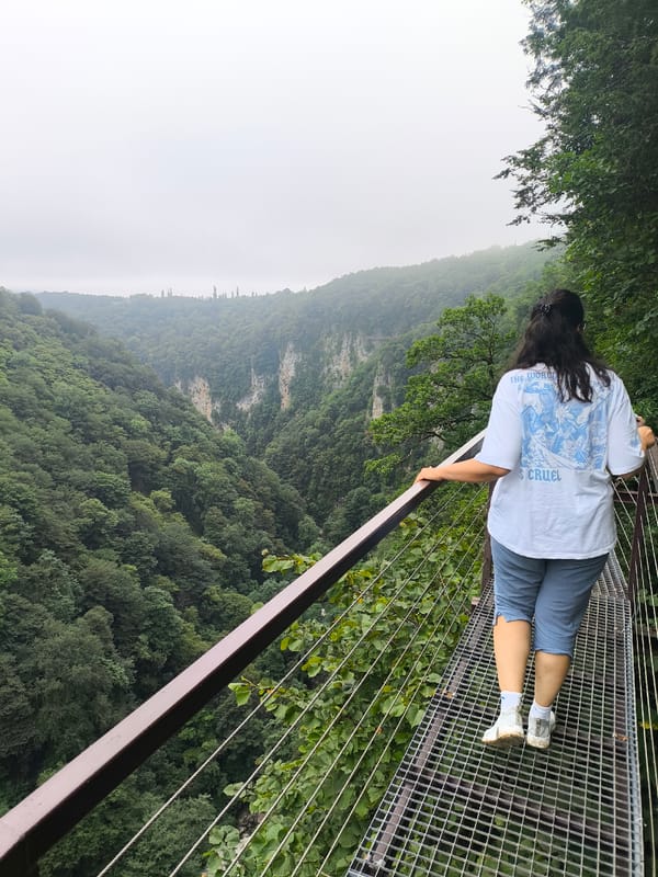 Walkways above a Georgian gorge, lush and overcast