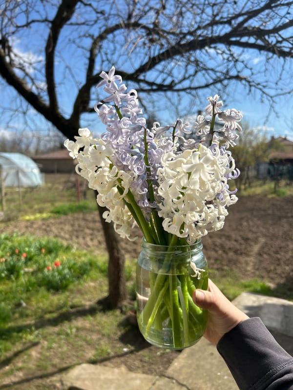 Spring flower arranging documented in rural Bulgarian village