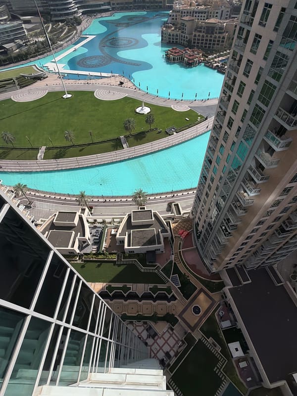 Aerial view captures Dubai's ornamental lake and landscaping