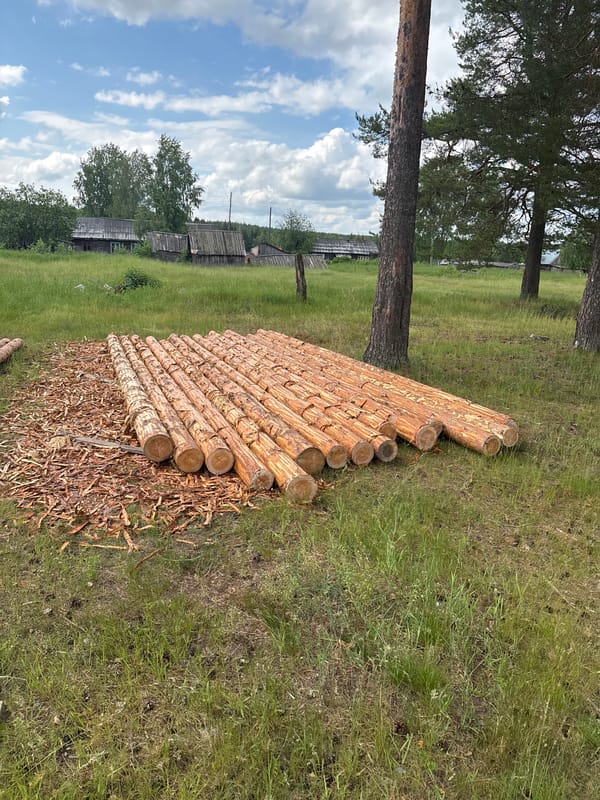 Rural Kurgan countryside exploration with wildflowers and forest paths