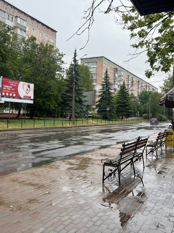 Morning rain scenes and flower market documented in Ternopil