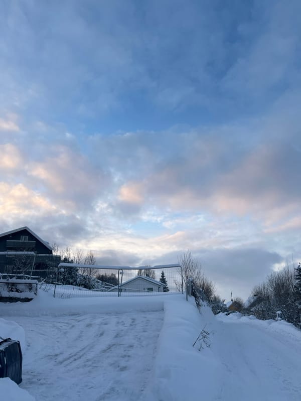 Winter scenes documented across snow-covered Tromsø residential areas