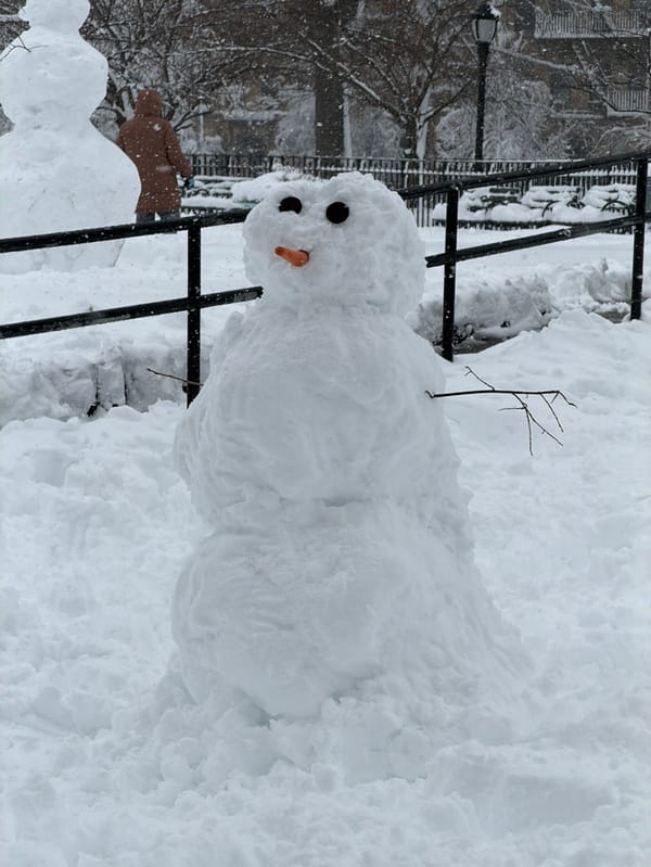 Dog plays as New Yorkers build snowmen during snowfall