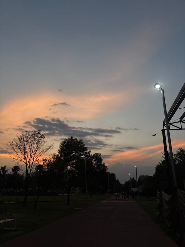 Evening frozen yogurt outing documented in Puebla parks