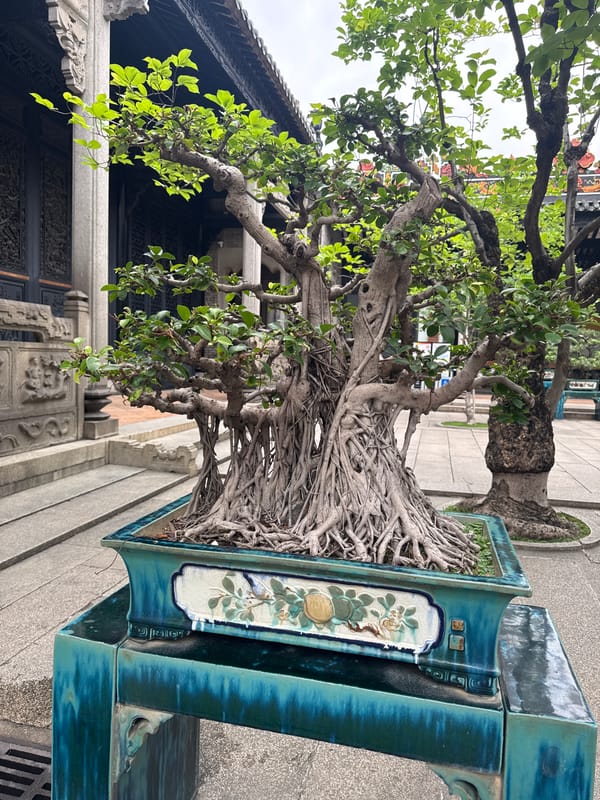 Traditional Chinese art and bonsai observed in Liwan District