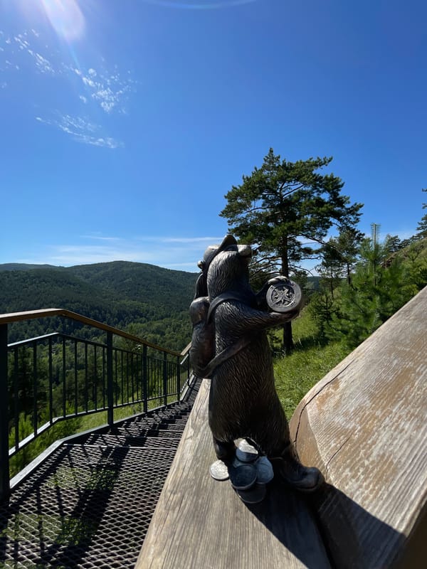 Bear statue and forest views from a Krasnoyarsk hillside overlook