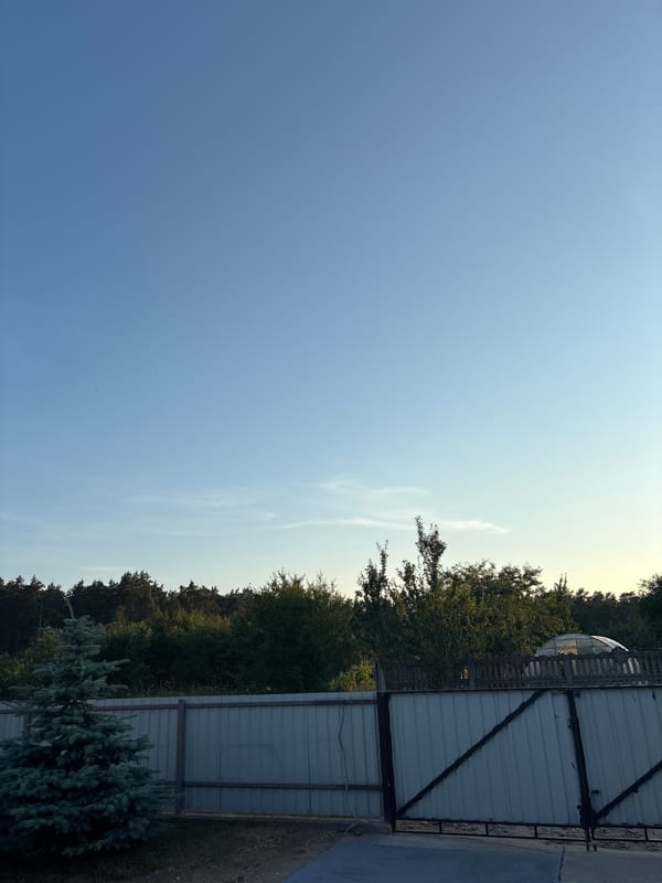 Open skies and a grape-reaching painting from Slonim, Belarus