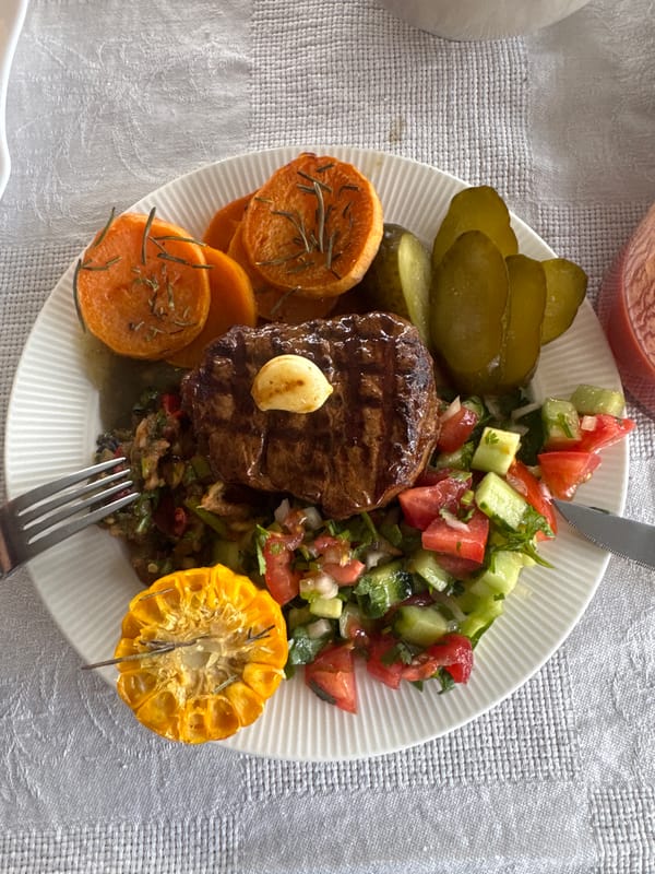 Home cooking of grilled steak meal in Ptichnoye, Russia