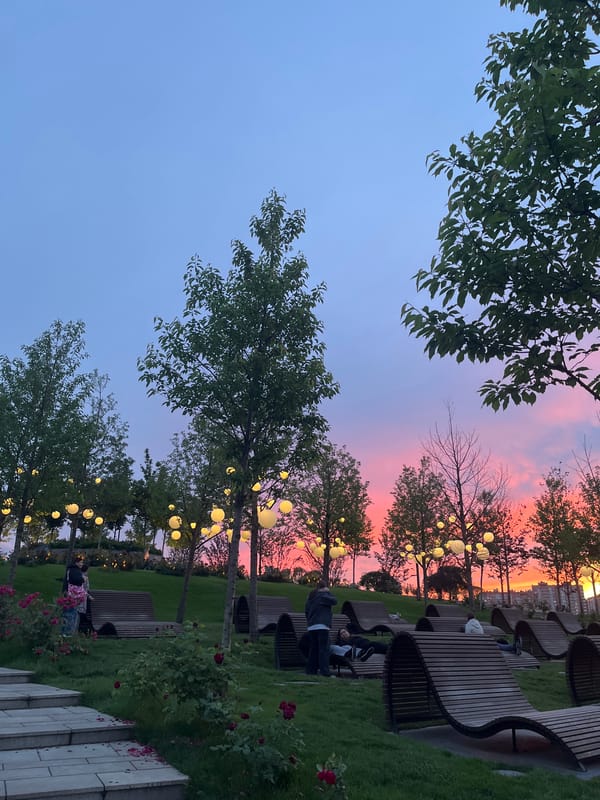 Sunset captured at Krasnodar park with blooming roses