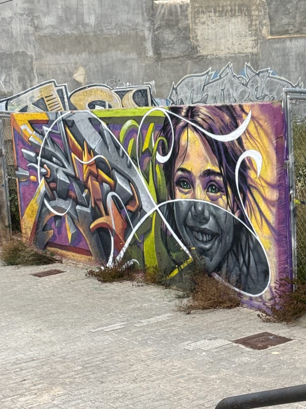 Morning street art and blooming trees observed in urban area
