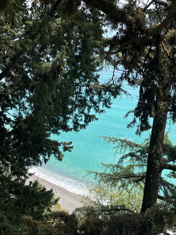 Coastal view captured from elevated position in Abaata, Abkhazia