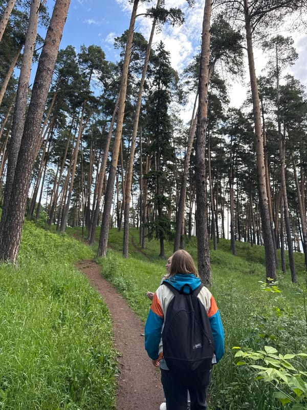 Morning forest walk documented in Sarapul, Russia