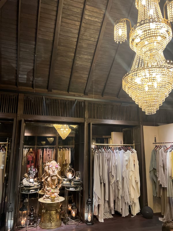 Woman shops, takes selfie at upscale Ubud boutique
