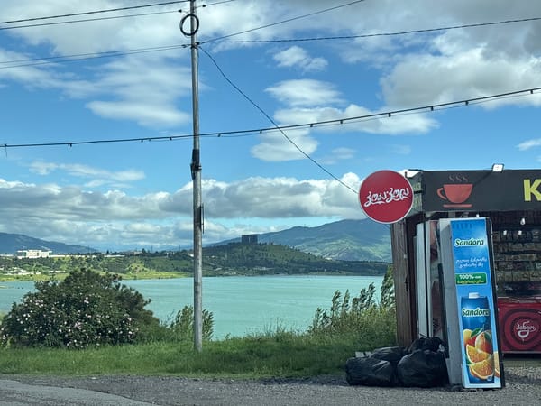 Roadside scenes documented near Tbilisi lakeside area