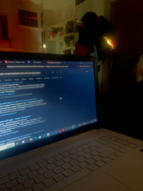 Laptop search for Poluostrovsky Park documented in Russia