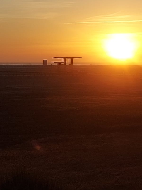 Witness documents golden hour sunset tour of Figueira da Foz waterfront