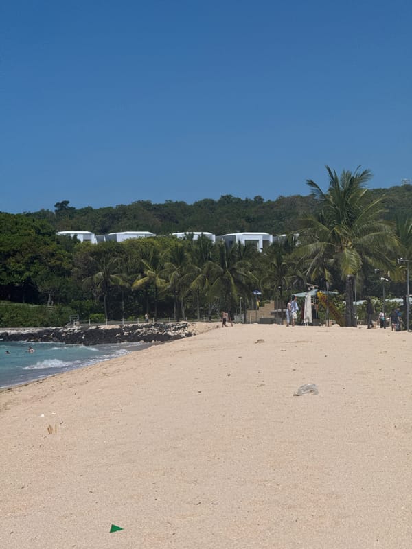 Witnesses capture tropical beach scenes with temples, boats, palm trees
