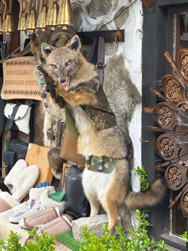 Daily life scenes captured in Bansko, Bulgaria