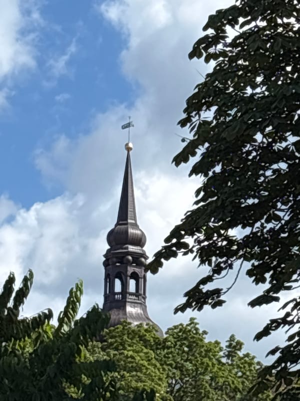 Summer morning snippets around Tallinn's Old Town