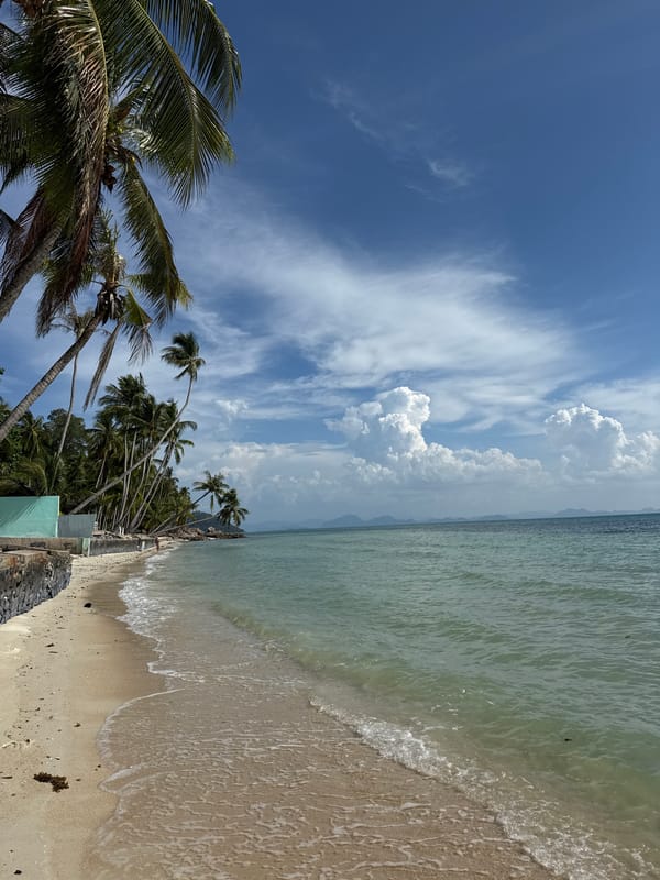 Tropical beach and harbor scene with palm trees and boats