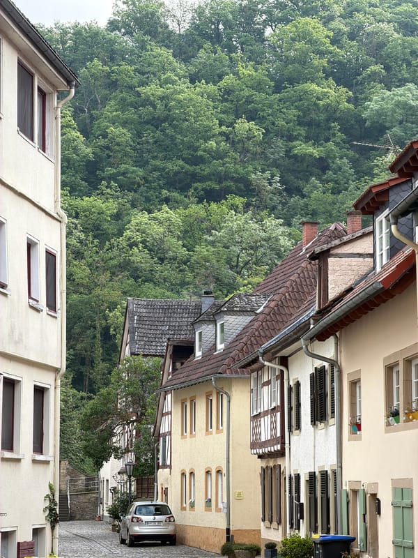 Traditional architecture documented in Meisenheim, Germany street view