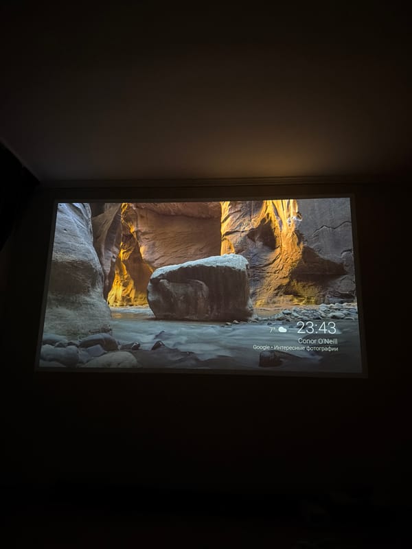 Barnaul resident documents cats and digital displays during evening hours