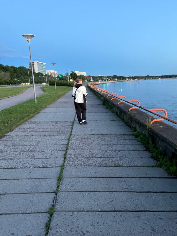 Tallinn waterfront at dusk: ferries, swans, and city lights