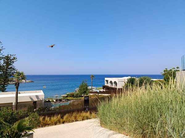 Sunny resort grounds full of flowering plants and ocean views