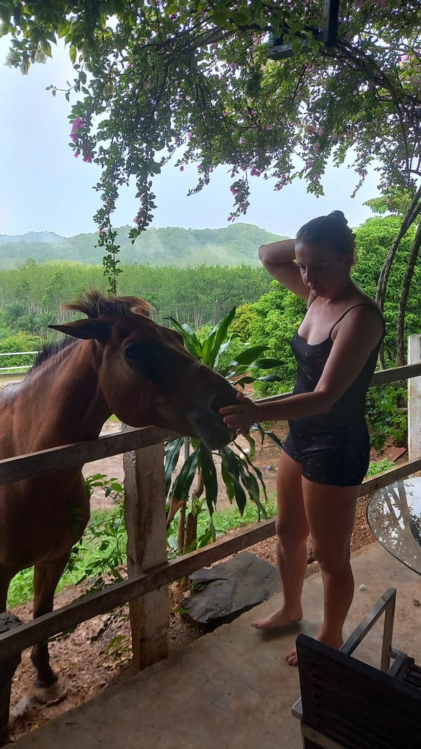 Woman feeds, pets brown horse on Thailand patio