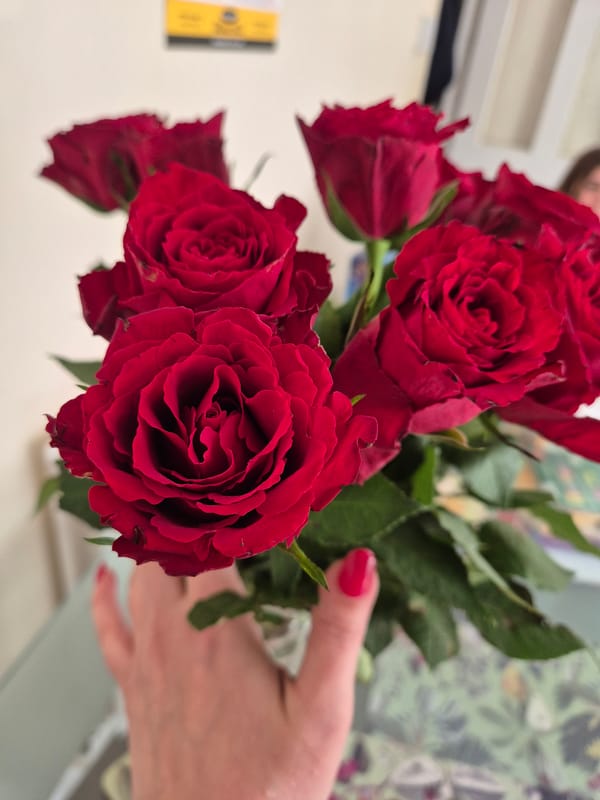 Person with red roses and strawberries enjoys croissant in Suffolk